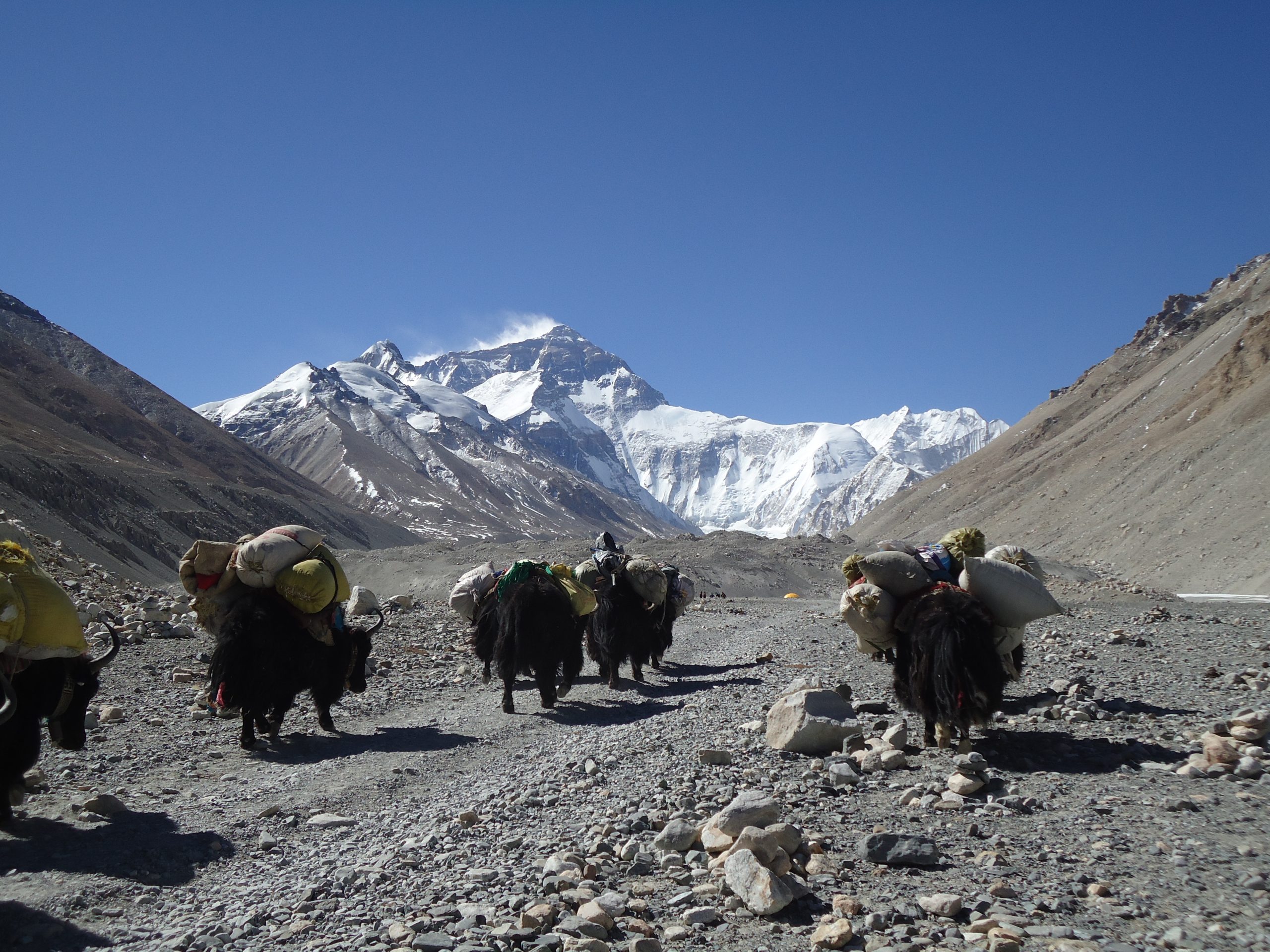 North Face Everest Base Camp