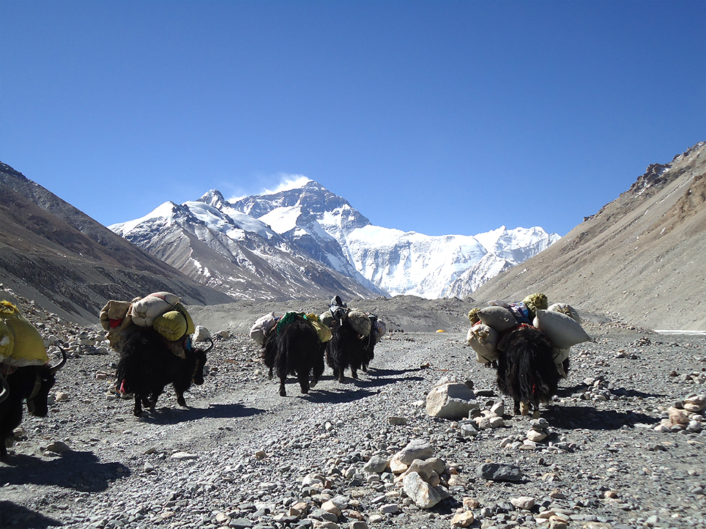 tibet-trek